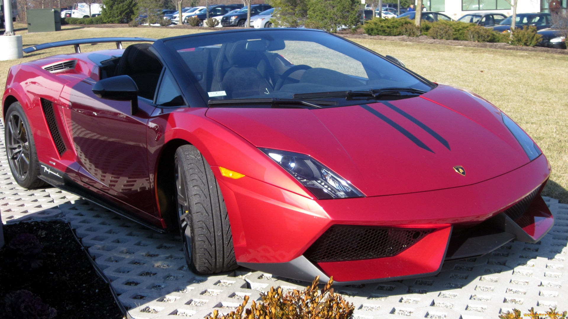 lamborghini, gallardo, , , , , automobili, s, p, a, , 